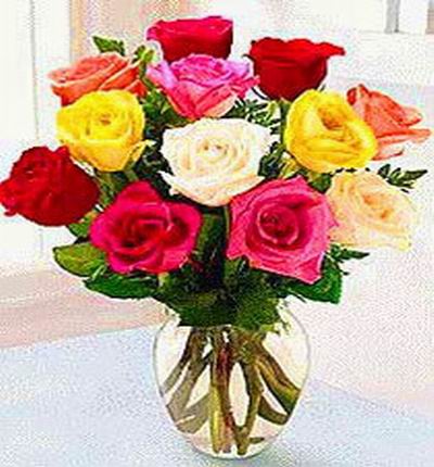 12 Multi colored imported Roses (USA or Holland)