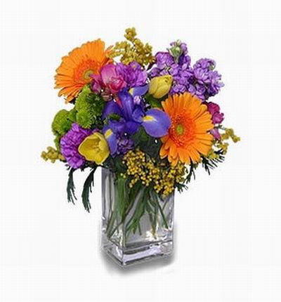 A very colorful mix of Iris, Daisies, Carnations and fillers.