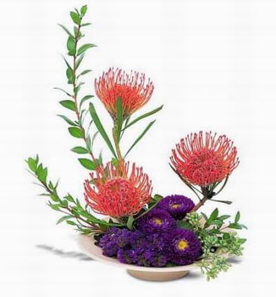 Three orange pin cushion protea rising high above purple flowers along with asters statice and eucalyptus arrive in a low saucer.