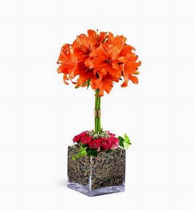 Seven warm orange Asiatic lilies are formed into a round topiary, while the base is covered with hot pink spray roses and white limonium with ivy.