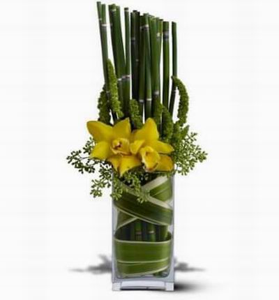 Yellow cymbidium orchids nestled in a vase with equisetum stalks and greenery and wound round with leaves