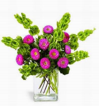 Pink Matsumoto asters in a rectangular clear glass vase.