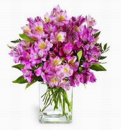 Pale pink and pink Peruvian lilies in a rectangular clear glass vase.