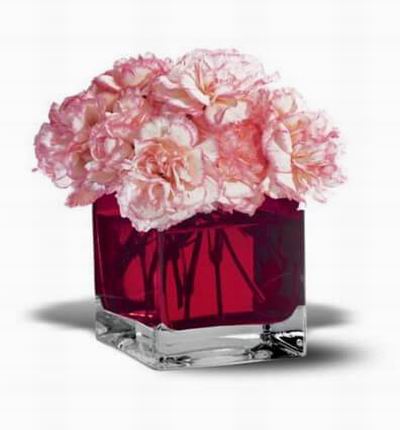 Fragrant carnations in a stylish red cube vase.