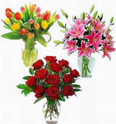 Multi-colored Tulips, pink Lilies and red Roses
