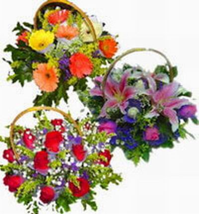 Multi-colored Daisy basket, pink Lily basket, red Rose basket