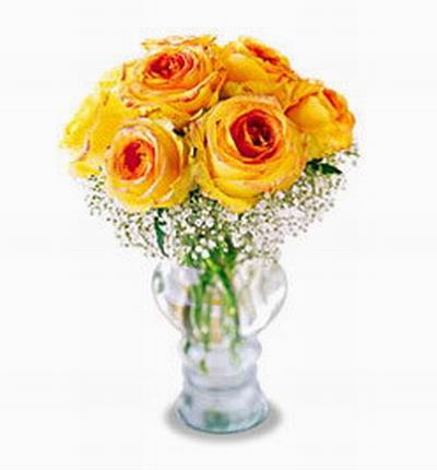 6 yellow peach Roses and Baby Breath