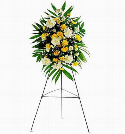 Flower Stand of Carnations and Daisies with large leaves (Substitutions may apply if a flower item is unavailable)