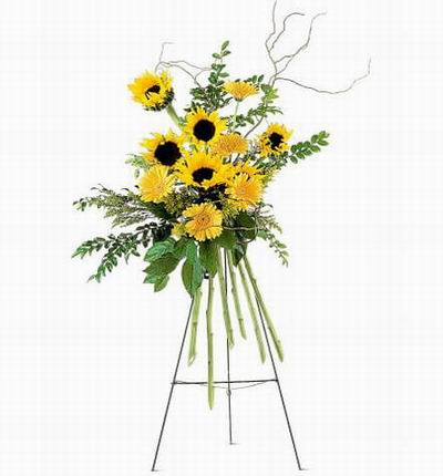 Flower Stand of Sunflowers, Daisies with Greenery fillers (Substitutions may apply if a flower item is unavailable)
