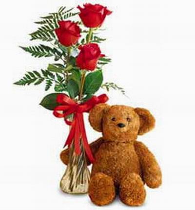 3 red Roses  and bear