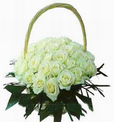 50 white Roses in basket