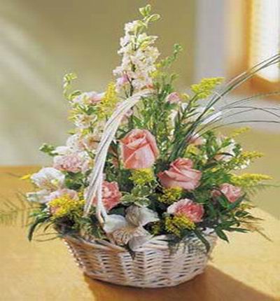 6 pink Roses, pink Carnations, Dendrobiums or Orchids and Stock in basket