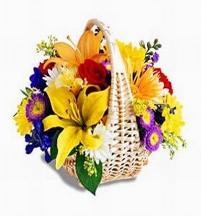 1 bright yellow Lily bud, Chrysanthemums, spider mums and 3 red Roses in basket