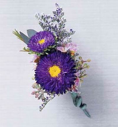 2 Purple Chrysanthemums