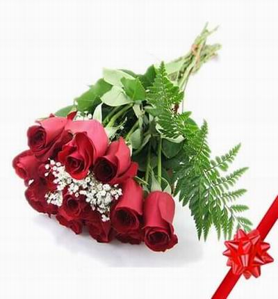 12 red Roses and Baby Breath in clear crystal plastic wrapping