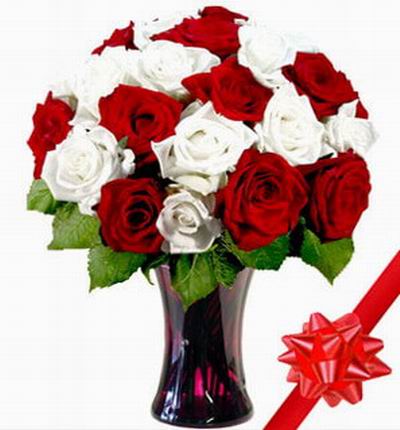10 white Roses and 10 red Roses