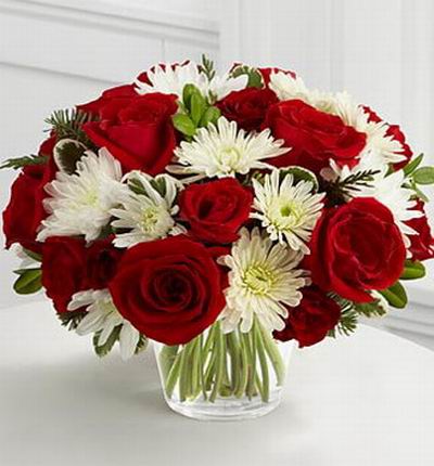 15 Rich red roses with 12 white chrysanthemums, assorted Christmas greens and eucalyptus.