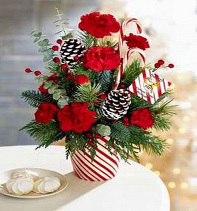 Christmas Flower Selection - Red Carnations, greens, pines (flowers will be used if out of Stock), acacia foliage, Hypericum berries, and greens