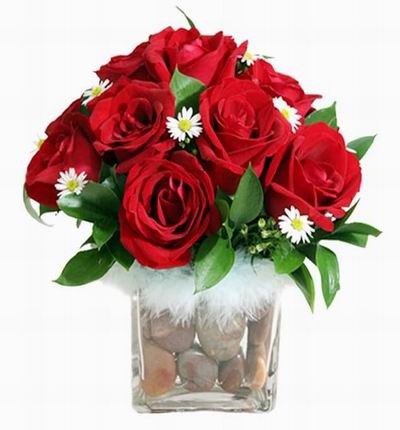 10 red Roses in vase with rocks. Include square vase.