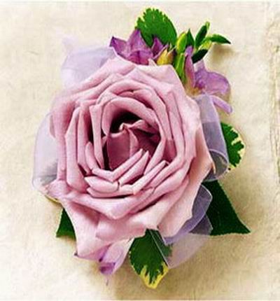 purple Rose