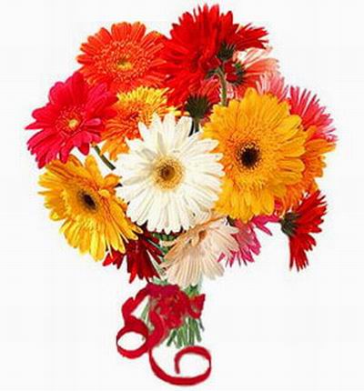 Yellow,red,pink & white Daisies or Chrysanthemums bouquet