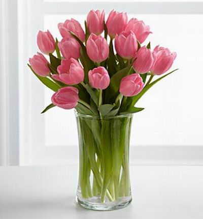 15 pink Tulips