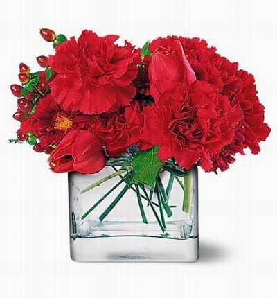 Simple sweet design of Carnations and Tulips (Tulips will be replaced with Roses if unavailable)