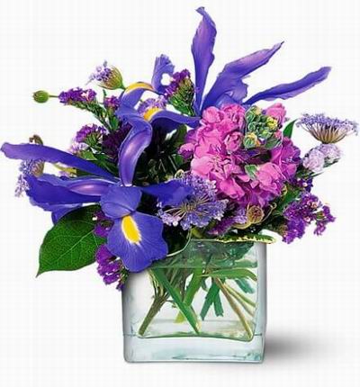 A purple mix of flowers, Hydrangea, Iris , stock and greenery