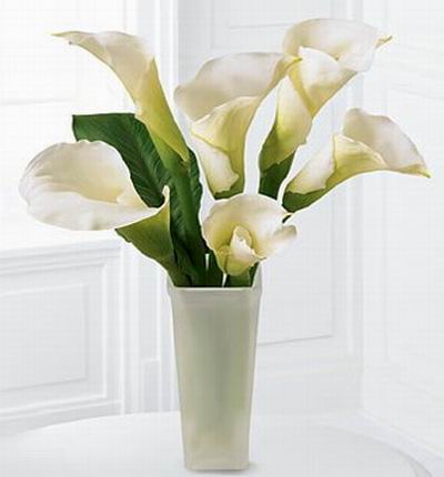 6 white Calla Lilies.