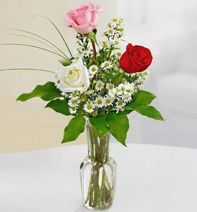 3 assorted color roses in vase.