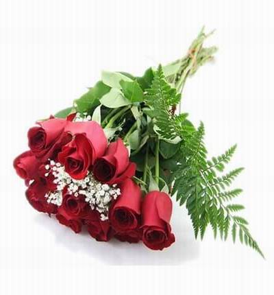 12 red Roses and Baby Breath in simple crystal plastic wrapping