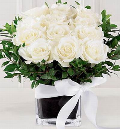 12 white Roses and green leaf fillers.