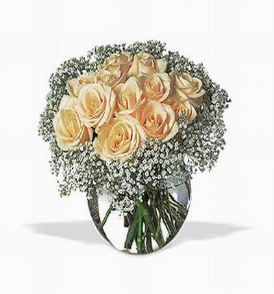 12 cream color Roses surrounded by Baby's Breath fillers.