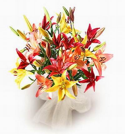 24 multi-color Lily bud bouquet