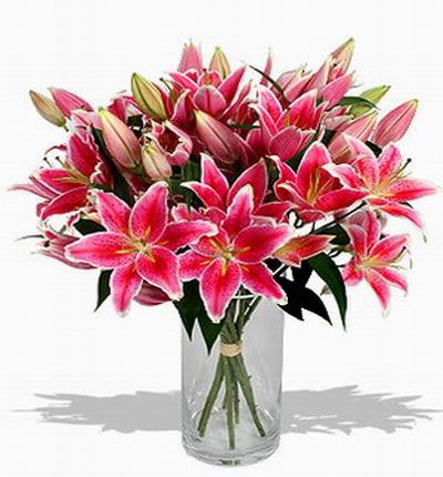 10 pink Lilies