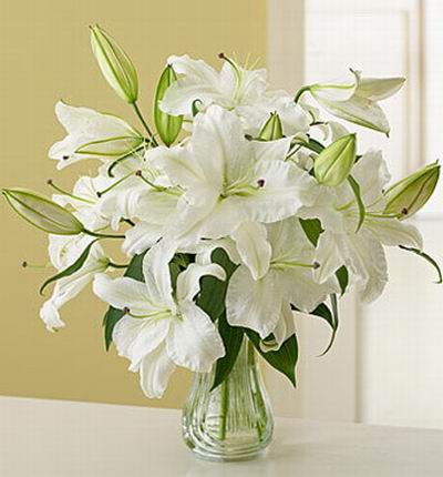 6 stems of white Lilies