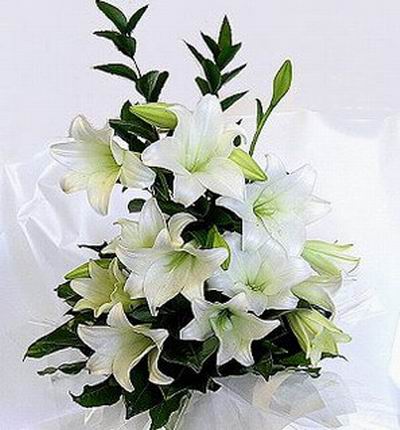 12 stems of white Lilies