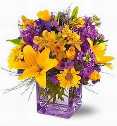 3 Lilies, 3 Shasta Daisies, 8 Alstromerias, and purple fillers in vase.