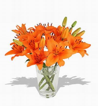 6 stems of orange Lilies.