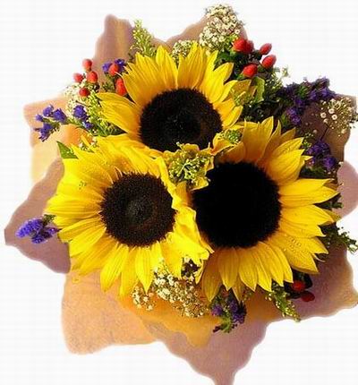 3 Sunflowers and filler bouquet.