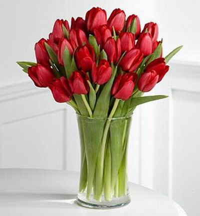 25 elegant red tulips.