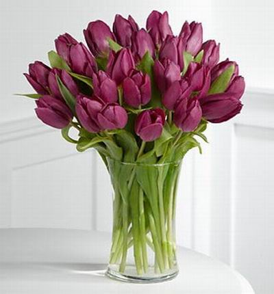 25 gorgeous purple tulips.