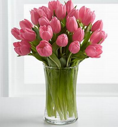 25 glamourous tulips.