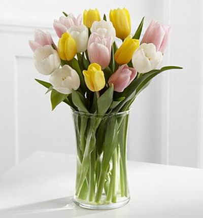 5 white, 5 pink, 5 yellow tulip mix.