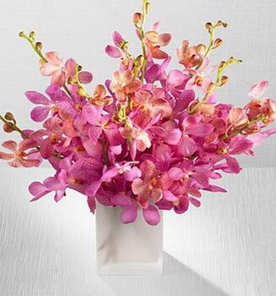10 pink orchid stems.