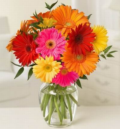 10 stems of assorted mix of Daisies. (Vase not included)