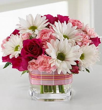 8 red Roses, 8 pink Carnations, 8 white Gerbera Daisies