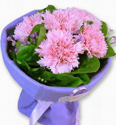 5 pink Carnations and green leaves.