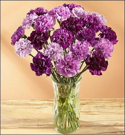21 purple shaded Carnations.