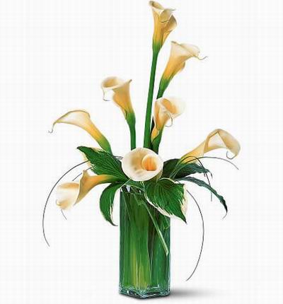 8 white Calla Lilies with greenery fillers.